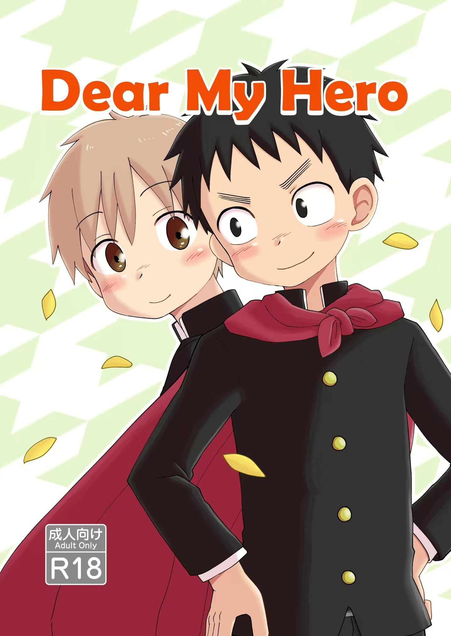 Dear My Hero