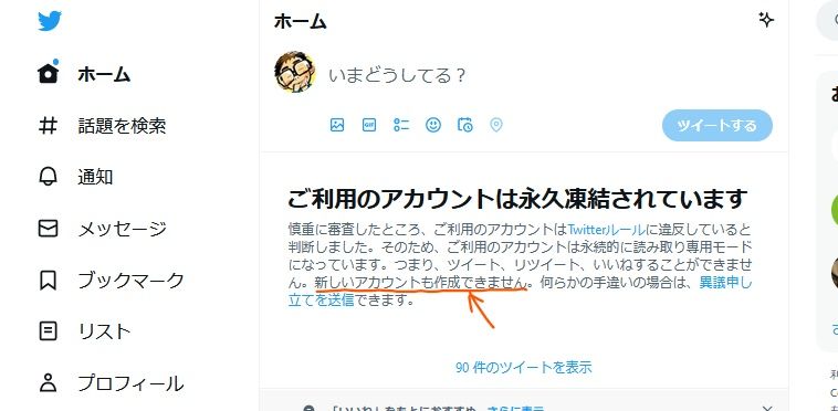 [20221104] [4710382] 雑記「Twitter帰ってこん」