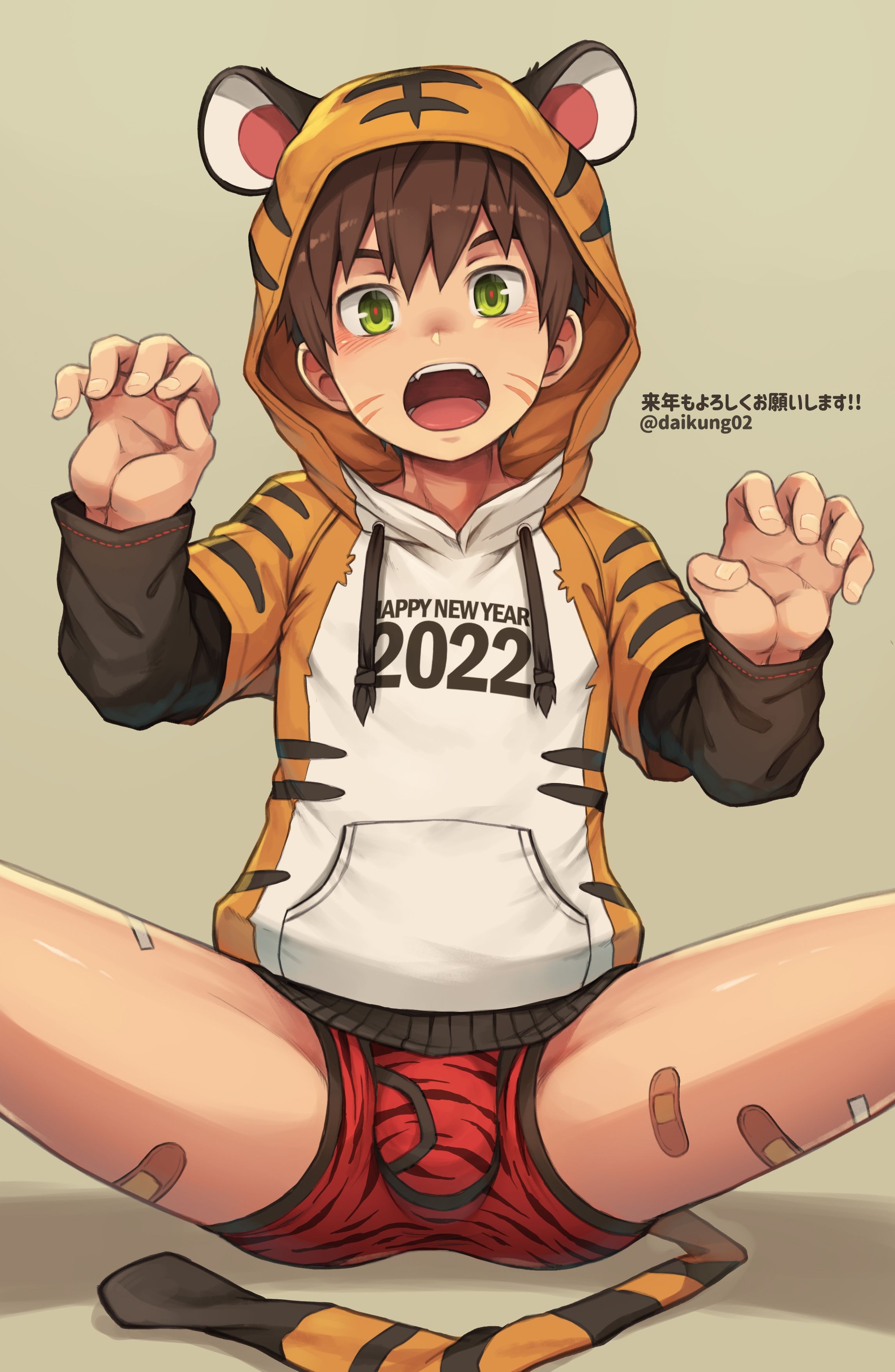 [20220101] [3215314] 虎パーカー『Tiger Hoodie』